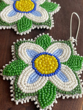 Load image into Gallery viewer, Handmade Beaded Earrings